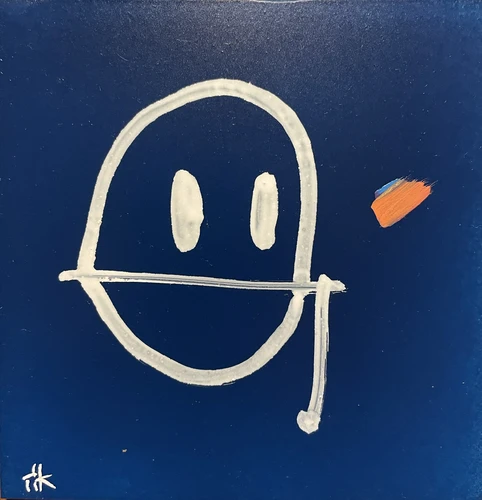 Projekt 13